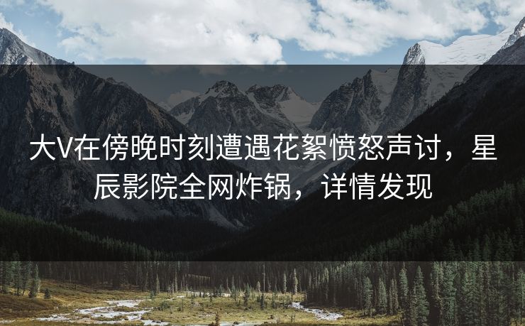 大V在傍晚时刻遭遇花絮愤怒声讨，星辰影院全网炸锅，详情发现